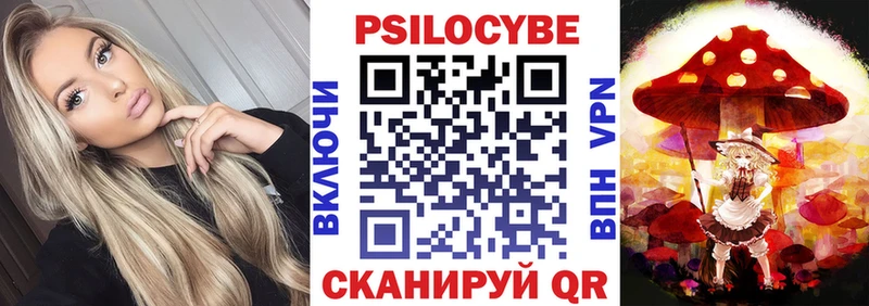 наркота  Дмитровск  Галлюциногенные грибы Psilocybe 